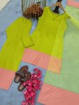 FANCY NATURAL CREEP SILK WITH BORDER WORK TOP PATIYALA WITH DUPATTA FESTIVE WEAR WHOLESALE PRICE ETHNIC GARMENT (1)
