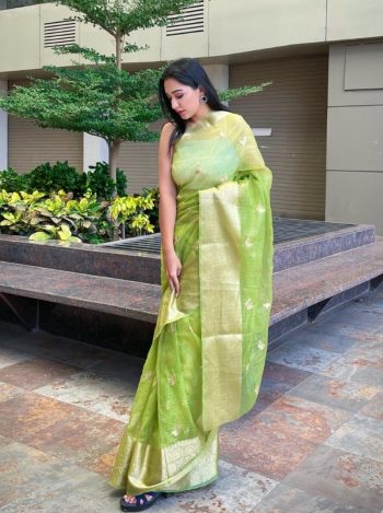 FASHIONABLE ORGANZA HANDCRAFTED MULTI THREAD ZARI WORK SAREE WITH UNSTITCHED BLOUSE PERROT GREEN