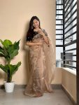 FASHIONABLE ORGANZA THREAD MOTI ARC BORDER SAREE WITH VELVET HEAVY WMOTI WORK STITCHED BLOUSE PARTY WEAR WHOLESALE PRICE ETHNIC GARMENT (3)