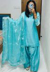 MOST PICKED FENDI SILK PLAIN TOP PATIYALA WITH EMBROIDERY WORK DUPATTA FESTIVE WEAR WHOLESALE PRICE ETHNIC GARMENT (4)