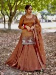 DESIGNER SIMMER SILK BEADS HANDWORK EMBROIDERY SEQUNCE MULTI NEEDLE ZARI WORK TOP LEHENGA WITH DUPATTA CHIKU