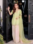 LATEST CREPE EMBROIDERY SEQUENCE REAL MIRROR HAND WORK TOP PATIYALA WITH DUPATTA PARTY WEAR WHOLESALE PRICE ETHNIC GARMENT (8)