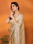 TRENDING JIMMY CHOO PAIN WITH FENCY LACE BORDER WORK SAREE WITH UNSTITCHED BLOUSE PARTY WEAR WHOLESALE PRICE ETHNIC GARMENT (7)