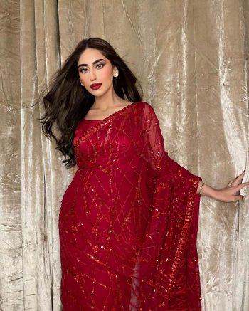ATTRACTIVE GEORGETTE EMBROIDERY SEQUENCE AND LACE WITH PIPING WORK SAREE WITH UNSTITCHED BLOUSE RED