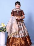 ATTRACTIVE JACQUARD WEAVING DESIGN AND LACE BORDER WITH ROUND MIRROR WORK LEHENGA CHOLI WITH DUPATTA BROWN