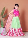 ATTRACTIVE NET JACQUARD EMBROIDERY WORK KID’S LEHENGA CHOLI WITH DUPATTA WEDDING WEAR WHOLESALE PRICE ETHNIC GARMENT (34)