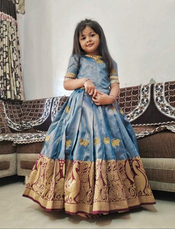 ATTRACTIVE SILK EMBROIDERY BUTTERFLY AND BIRD WORK  KID'S GOWN BLUE