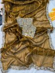 BOLLYWOOD JIMMY CHOO SEQUENCE AND REAL MIRROR BORDER WORK SAREE WITH STITCHED BLOUSE BRIDAL WEAR WHOLESALE PRICE ETHNIC GARMENT (18)