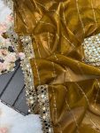 BOLLYWOOD JIMMY CHOO SEQUENCE AND REAL MIRROR BORDER WORK SAREE WITH STITCHED BLOUSE BRIDAL WEAR WHOLESALE PRICE ETHNIC GARMENT (18)