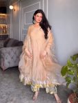 MODERN GEORGETTE FANCY BORDER GOWN BOTTOM WITH DUPATTA FESTIVE WEAR WHOLESALE PRICE ETHNIC GARMENT (2)