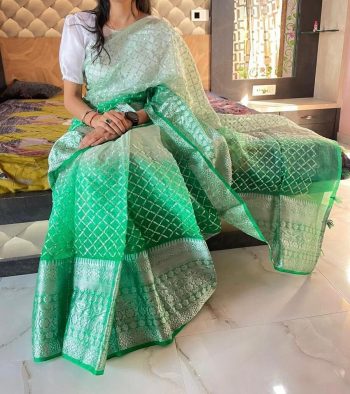 NEW ARRIVAL KANCHIPURAM JACQUARD MULTI SEQUENCE WORK SAREE WITH UNSTITCHED BLOUSE PISTA