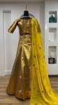 NEW ARRIVAL BANARASI ZARI SILK PLAIN LEHENGA CHOLI WITH SEQUENCE DORI WORK DUPATTA FESTIVE WEAR WOLESALE PRICE ETHNIC GARMENT (8)