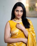 ATTRACTIVE LICHI SILK JACQUARD WORK SAREE WITH UNSTITCHED BLOUSE FESTIVE WEAR WHOLESALE PRICE ETHNIC GARMENT (6)