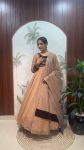 FANCY TISSUE SILK HAND WORK GOEN WITH DUPATTA FESTIVE WEAR WHOLESALE PRICE ETHNIC GARMENT (8)