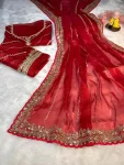 4DESIGNER JIMMY CHOO SEQUENCE ZARI WORK AARCO BORDER WORK SAREE WITH UNSTITCHED BLOUSE WEDDING WEAR WHOLESALE PRICE ETHNIC GARMENT (9)