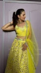DESIGNER GEORGETTE ZARI & FOIL PAPER WORK + NET RUFFLE BORDER WORK LEHENGQA CHOLI WITH DUPATTA RECEPTION WEAR WHOLESALE PRICE ETHNIC GARMENT (6)