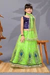 FANCY NET SEQUENCE EMBROIDERY WORK KID'S LEHENGA CHOLI WITH DUPATTA PARROT GREEN