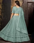 3DESIGNER NET CHAIN WORK LEHENGA CHOLI WITH DUPATTA FESTIVE WEAR WHOLESALE PRICE ETHNIC GARMENT (7)