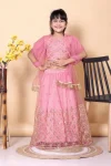 NEW ARRIVAL NET LACE BORDER WITH SEQUENCE EMBROIDERY WORK KID'S LEHENGA CHOLI WITH DUPATTA BABY PINK