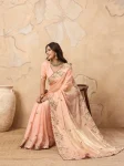 ATTRACTIVE CHIFFON EMBROIDERY CUTWORK WORK ARCO BORDER WORK SAREE WITH UNSTITCHED BLOUSE WEDDING WEAR WHOLESALE PRICE ETHNIC GARMENT (7)