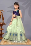 FANCY NET SEQUENCE EMBROIDERY WORK KID'S LEHENGA CHOLI WITH DUPATTA PISTA