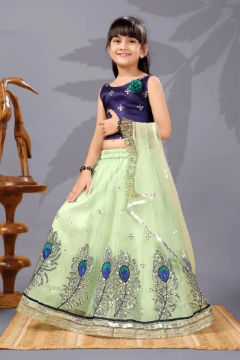 FANCY NET SEQUENCE EMBROIDERY WORK KID'S LEHENGA CHOLI WITH DUPATTA PISTA