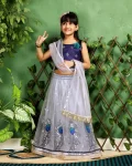 FANCY NET SEQUENCE EMBROIDERY WORK KID’S LEHENGA CHOLI WITH DUPATTA FESTIVE WEAR WHOLESALE PRICE ETHNIC GARMENT (4)