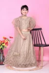 NEW ARRIVAL NET LACE BORDER WITH SEQUENCE EMBROIDERY WORK KID'S LEHENGA CHOLI WITH DUPATTA CREAM