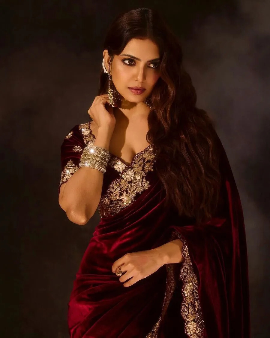 1DESIGNER VELVET SEQUENCE & JARI THREAD EMBROIDERY WITH BORDER AND CUTWORK SAREE WITH UNSTITCHED BLOUSE WEDDING WEAR WHOLESALE PRICE ETHNIC GARMENT (24).webp