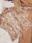 3FANCY CHINON SILK PLAIN READY TO WEAR SAREE AND BLOUSE WITH MULTI-THREAD EMBROIDERY SEQUENCE WORK KOTI PARTY WEAR WHOLESALE PRICE ETHNIC GARMENT (5)