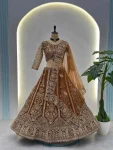 AATRACTIVE BUTTURFLY NET SEQUENCE AND CODING EMBROIDERY WORK LEHENGA CHOLI WITH DUPATTA CHIKU