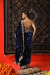 DESIGNER VELVET SEQUENCE & JARI THREAD EMBROIDERY WITH BORDER AND CUTWORK SAREE WITH UNSTITCHED BLOUSE WEDDING WEAR WHOLESALE PRICE ETHNIC GARMENT (10)
