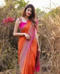 MODERN LICHI SILK JACQUARD BORDER WORK SAREE WITH UNSTITCHED BLOUSE FESTIVE WEAR WHOLESALE PRICE ETHNIC GARMENT (3)