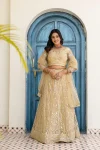 DESIGNER BUTTERFLY NET SEQUENCE AND CODING EMBROIDERY WORK LEHENGA CHOLI WITH DUPATTA CREAM