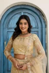 2DESIGNER BUTTERFLY NET SEQUENCE AND CODING EMBROIDERY WORK LEHENGA CHOLI WITH DUPATTA WEDDING WEAR WHOLESALE PRICE ETHNIC GARMENT (33)