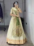 2DESIGNER PAITHANI SILK ZARI WEAVING WORK WITH BORDER AND BUTTI WORK LEHENGA CHOLI WITH DUPATTA WEDDING WEAR WHOLESALE PRICE ETHNIC GARMENT (17)