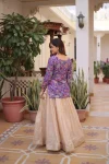 FANCY COSMOS WEAVING JACQUARD TOP LEHENGA SET WEDDING WEAR WHOLESALE PRICE ETHNIC GARMENT (9)