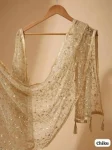 MODERN SOFT NET ZARI + SEQUENCE EMBROIDERY WORK ONLY DUPATTA CHIKU