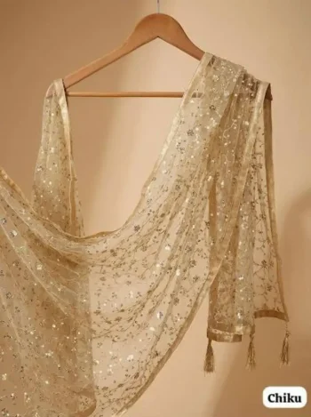 MODERN SOFT NET ZARI + SEQUENCE EMBROIDERY WORK ONLY DUPATTA CHIKU