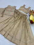 2FANCY GOLD CRUSH EMBROIDERY SEQUENCE WITH THREAD WORK SHRUG WITH LEHENGA CHOLI PARTY WEAR WHOLESALE PRICE ETHNIC GARMENT (27)