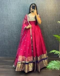 TRADITIONAL NARYANPET SILK BORDER WORK GOWN WITH NET DUPATTA RANI
