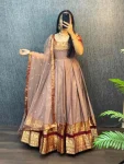 TRADITIONAL NARYANPET SILK BORDER WORK GOWN WITH NET DUPATTA CHIKU