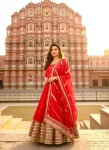 DESIGNER-CHINON-SEQUENCE-EMBROIDERY-SLEEVE-SEQUENCE-LACE-WORK-GOWN-BOTTOM-WITH-DUPATTA-FESTIVE-WEAR-WHOLESALE-PRICE-ETHNIC-GARMENT-1.webp