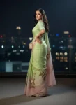 DESIGNER-GOLD-CRUSH-HANDPAINT-HANDWORK-CUT-DANA-WORK-SAREE-WITH-UNSTITCHED-BLOUSE-PARTY-WEAR-WHOLESALE-PRICE-ETHNIC-GARMENT-8.webp