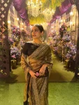 DESIGNER TWILL NET SEQUENCE AND DORI EMBROIDERY WORK LACE BORDER WITH BUTTI WORK SAREE WITH UNSTITCHED BLOUSE WEDDING WEAR WHOLESALE PRICE ETHNIC GARMENT (2)
