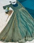 FANCY-SHIMMER-SILK-PLAIN-GOWN-WITH-FOUR-SIDE-LACE-BORDER-WORK-DUPATTA-FESTIVE-WEAR-WHOLESALE-PRICE-ETHNIC-GARMENT-2.webp