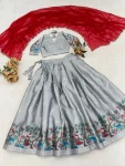 FANCY SILK SILVER ZARI WEAVING WITH CONTRAST KALAMKARI WEAVING BORDER WORK LEHENGA CHOLI WITH DUPATTA FESTIVE WEAR WHOLESALE PRICE ETHNIC GARMENT (3)