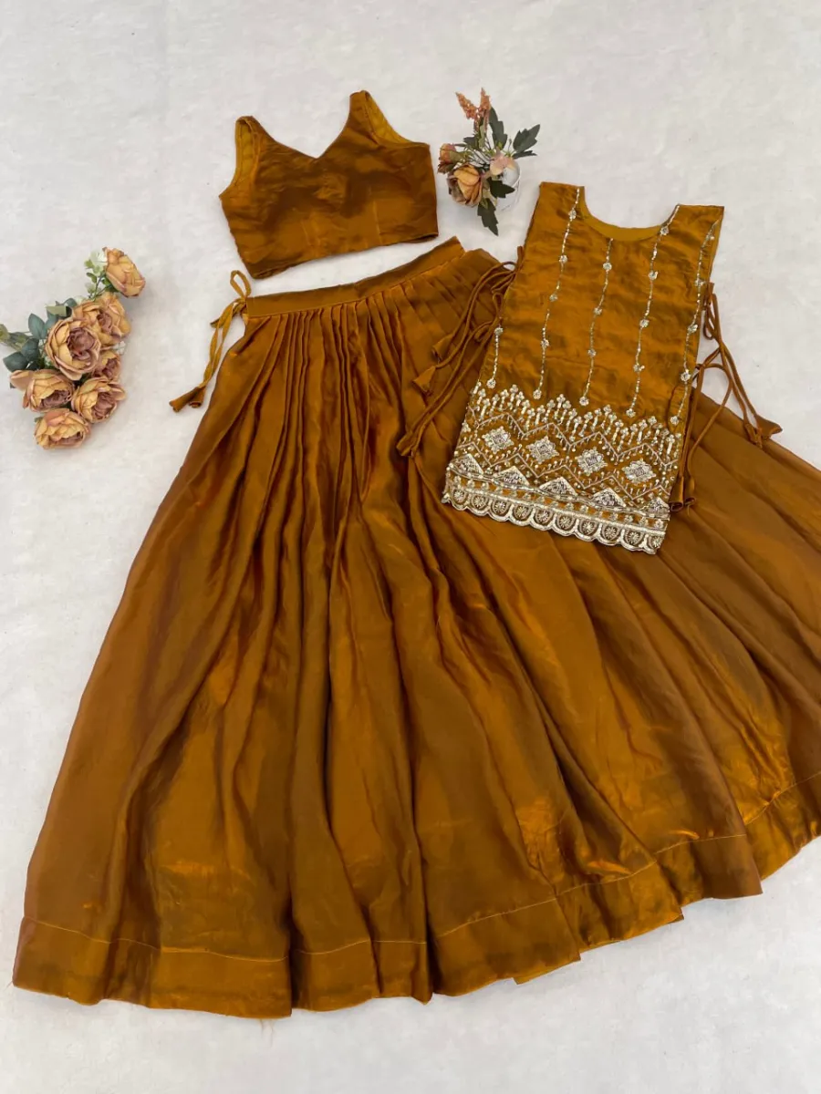 MODERN FENDY PLAIN LEHENGA CHOLI WITH BEADS WORK FRONT AND BACK WITH ARC BORDER WORK KOTI WEDDING WEAR WHOLESALE PRICE ETHNIC GARMENT (20)