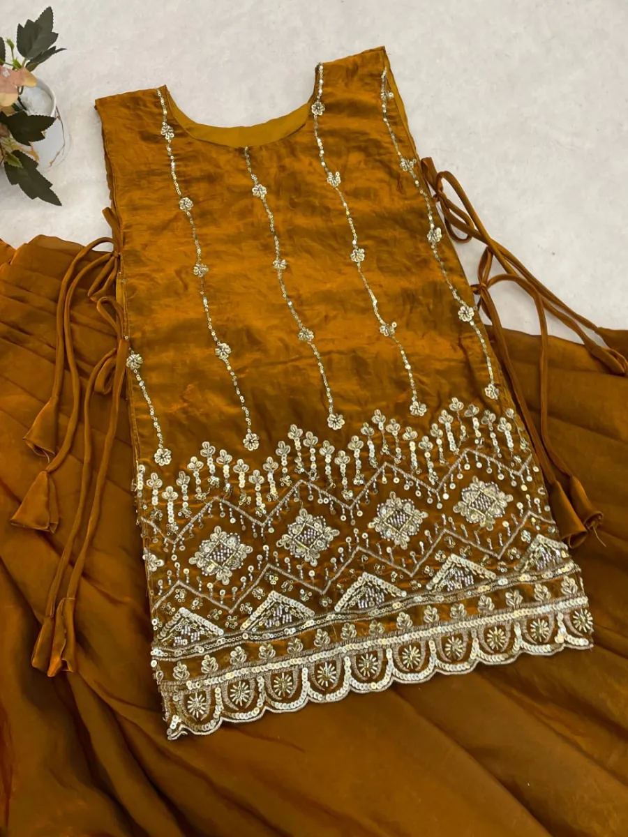 MODERN FENDY PLAIN LEHENGA CHOLI WITH BEADS WORK FRONT AND BACK WITH ARC BORDER WORK KOTI WEDDING WEAR WHOLESALE PRICE ETHNIC GARMENT (23)