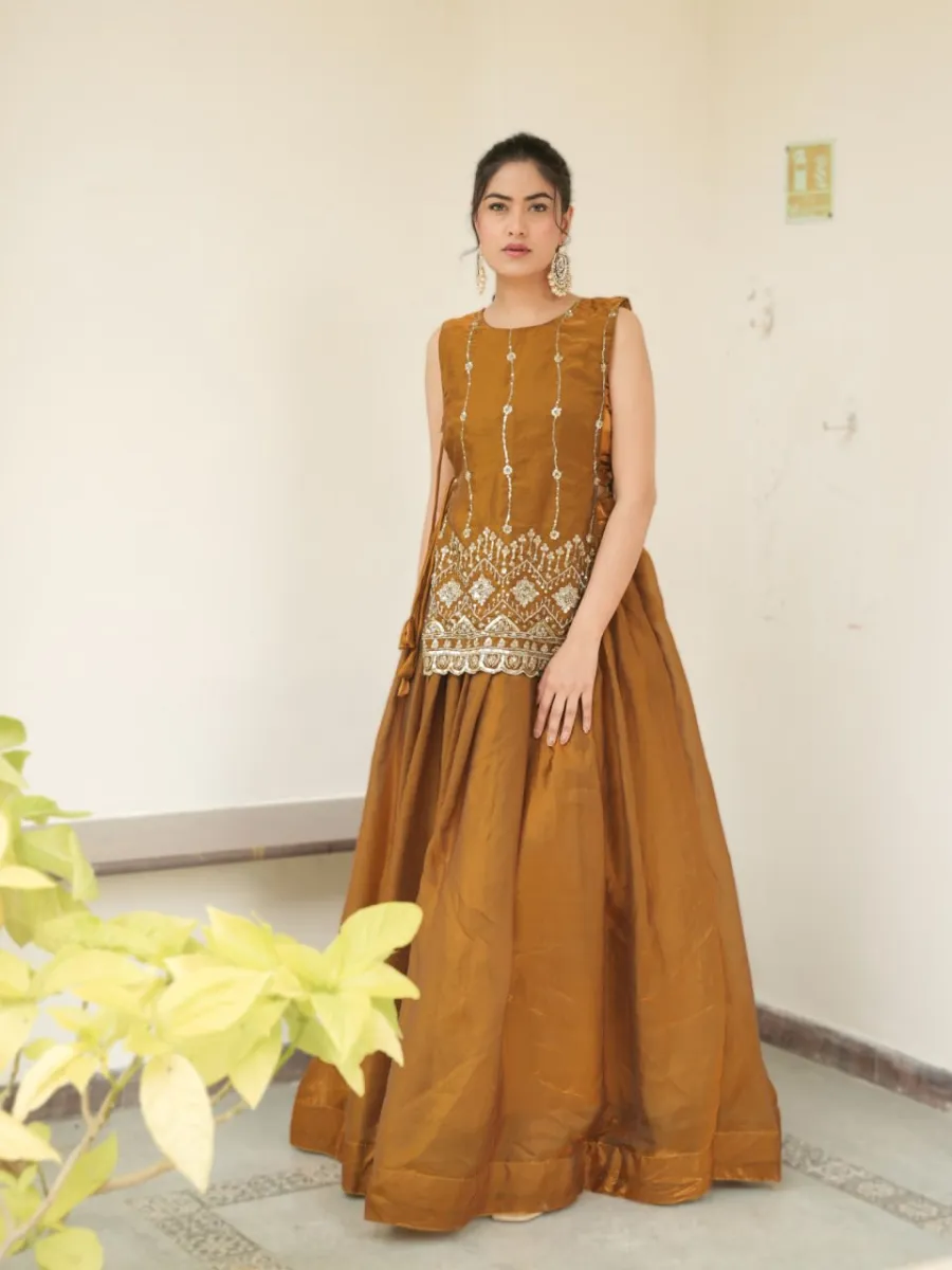 MODERN FENDY PLAIN LEHENGA CHOLI WITH BEADS WORK FRONT AND BACK WITH ARC BORDER WORK KOTI WEDDING WEAR WHOLESALE PRICE ETHNIC GARMENT (8)